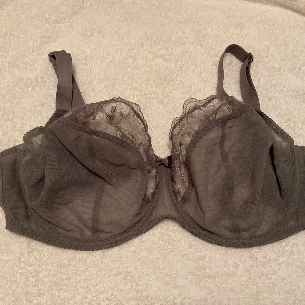 Elegant Sheer Lace Bra in Gray